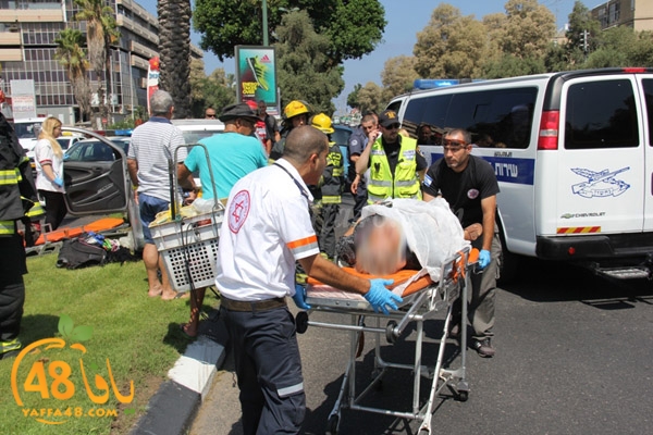 acc yaffa jasterret (7).JPG